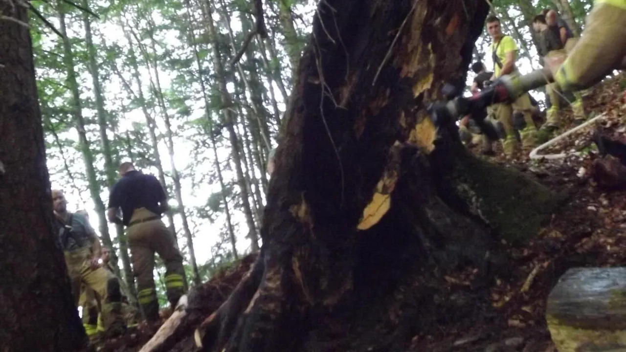 20230720_waldbrand_erpfendorf_3.jpg