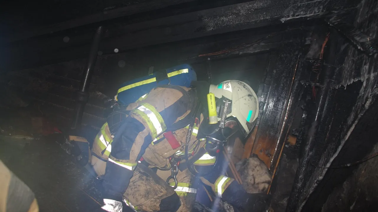 kitz_27.02.2017_4.jpg